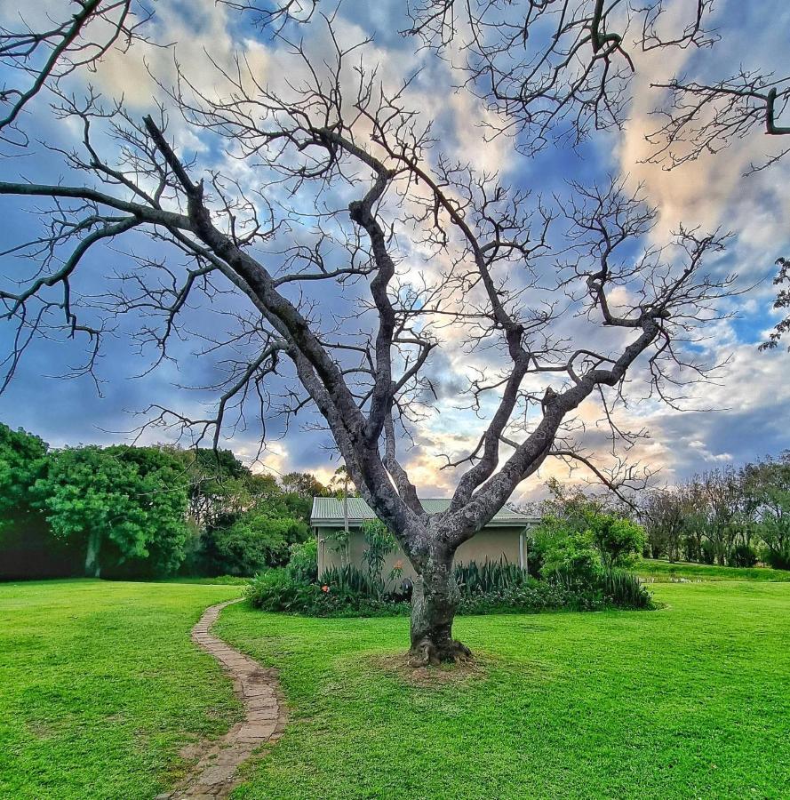 Willa Oppieplaas Country Estate Haga Haga Zewnętrze zdjęcie